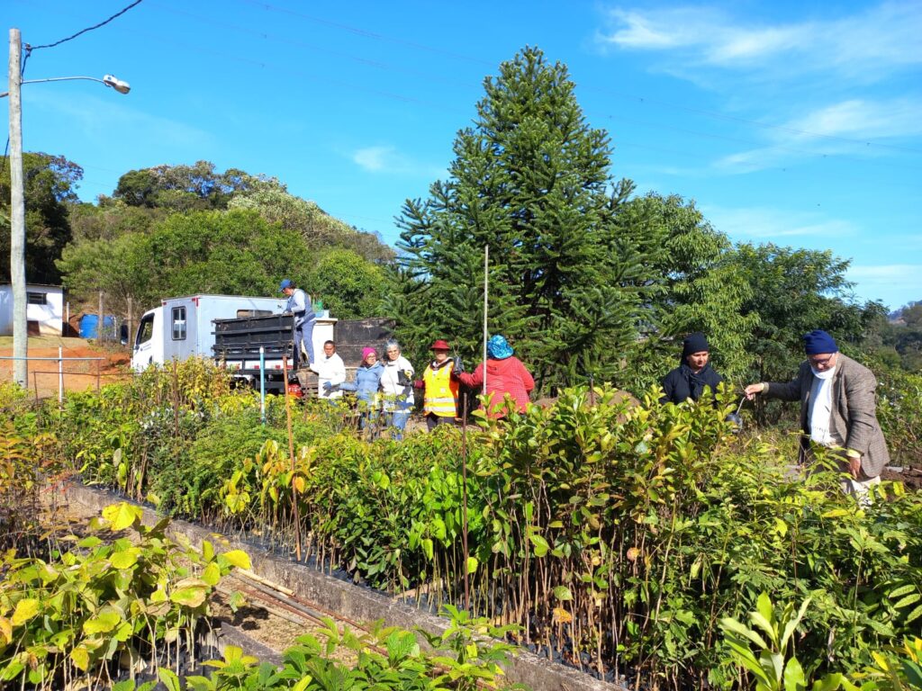 doação de mudas cultivadas nos canteiros do Jardim Botânico de Poços para a Prefeitura de Poços de Caldas