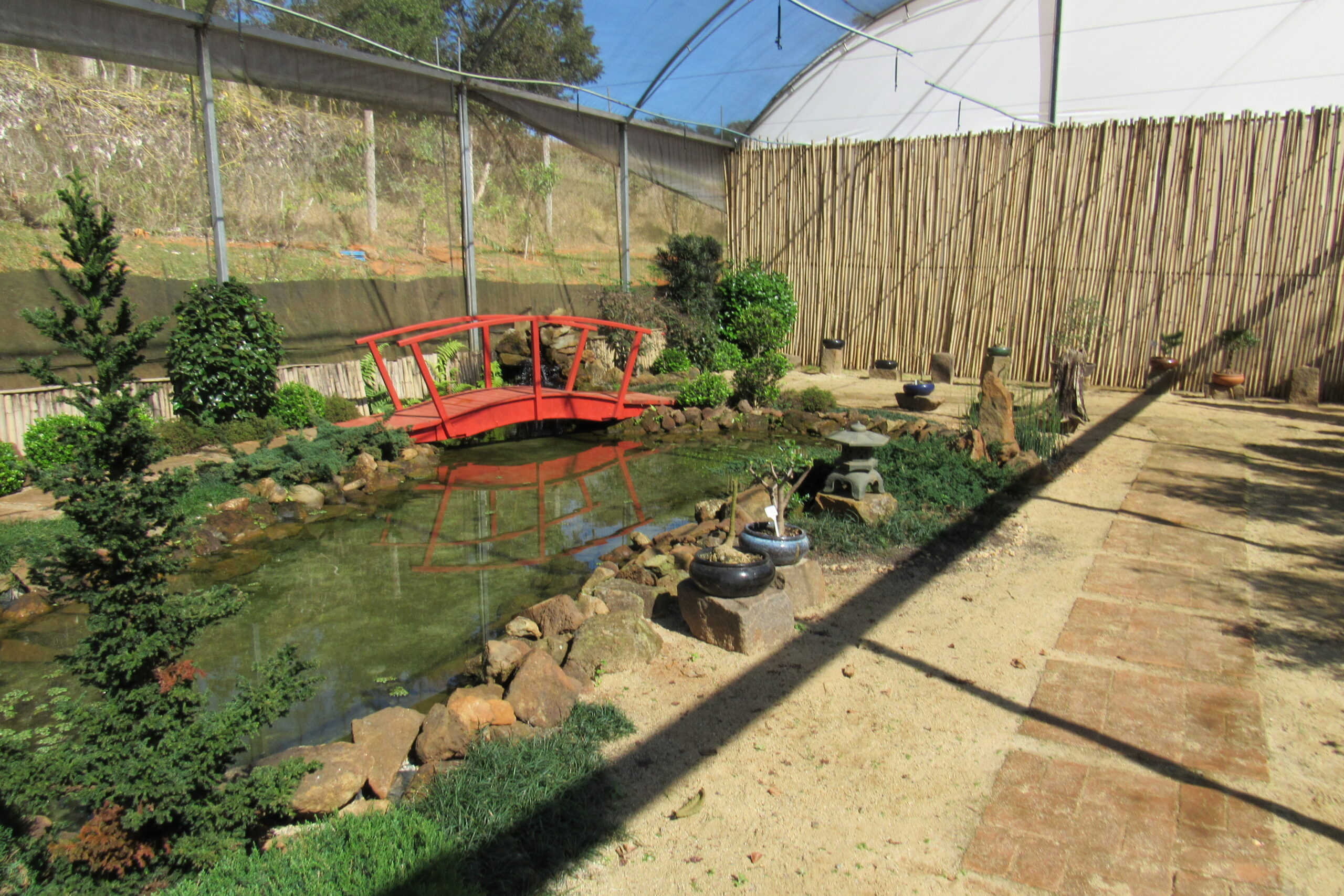 estufa de bonsais do jardim botânico de Poços