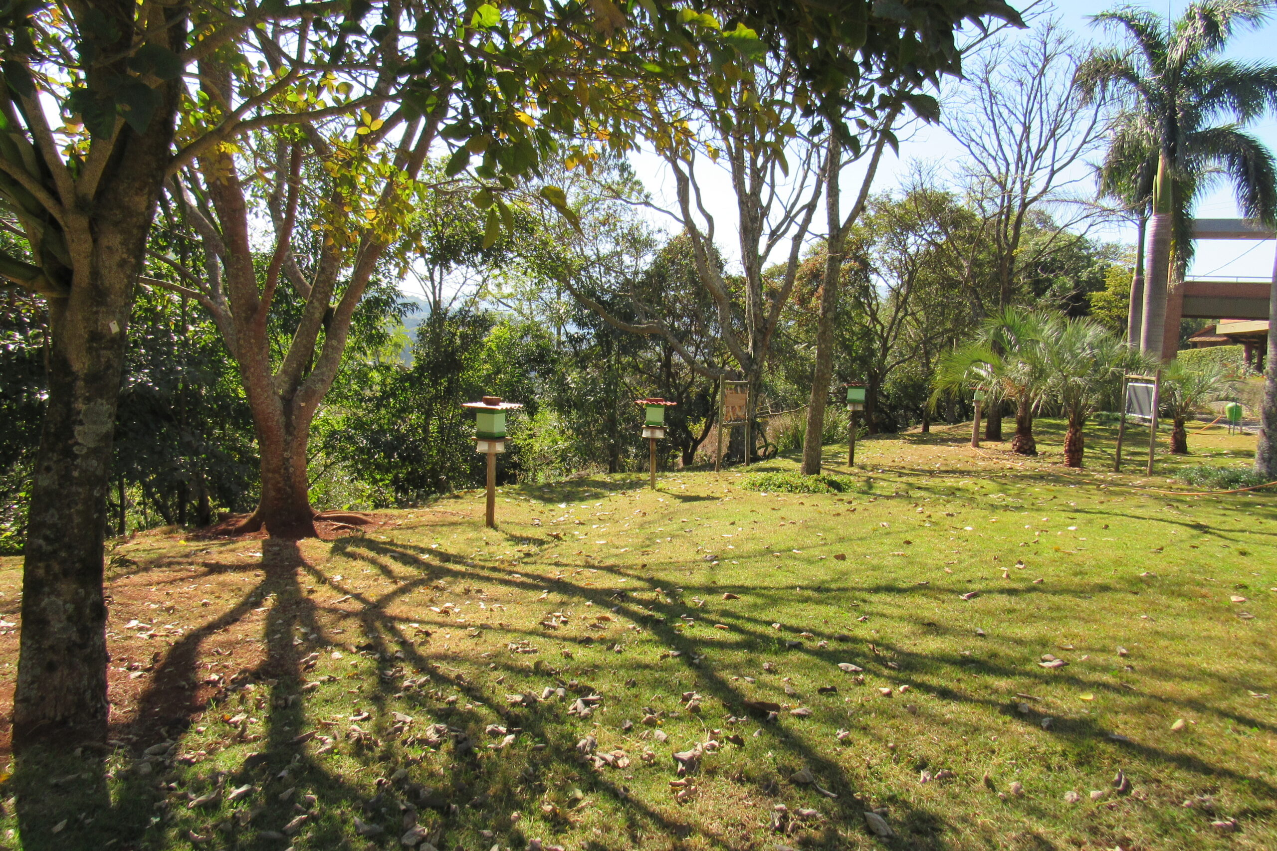 arboreto do jardim botânico de Poços de Caldas