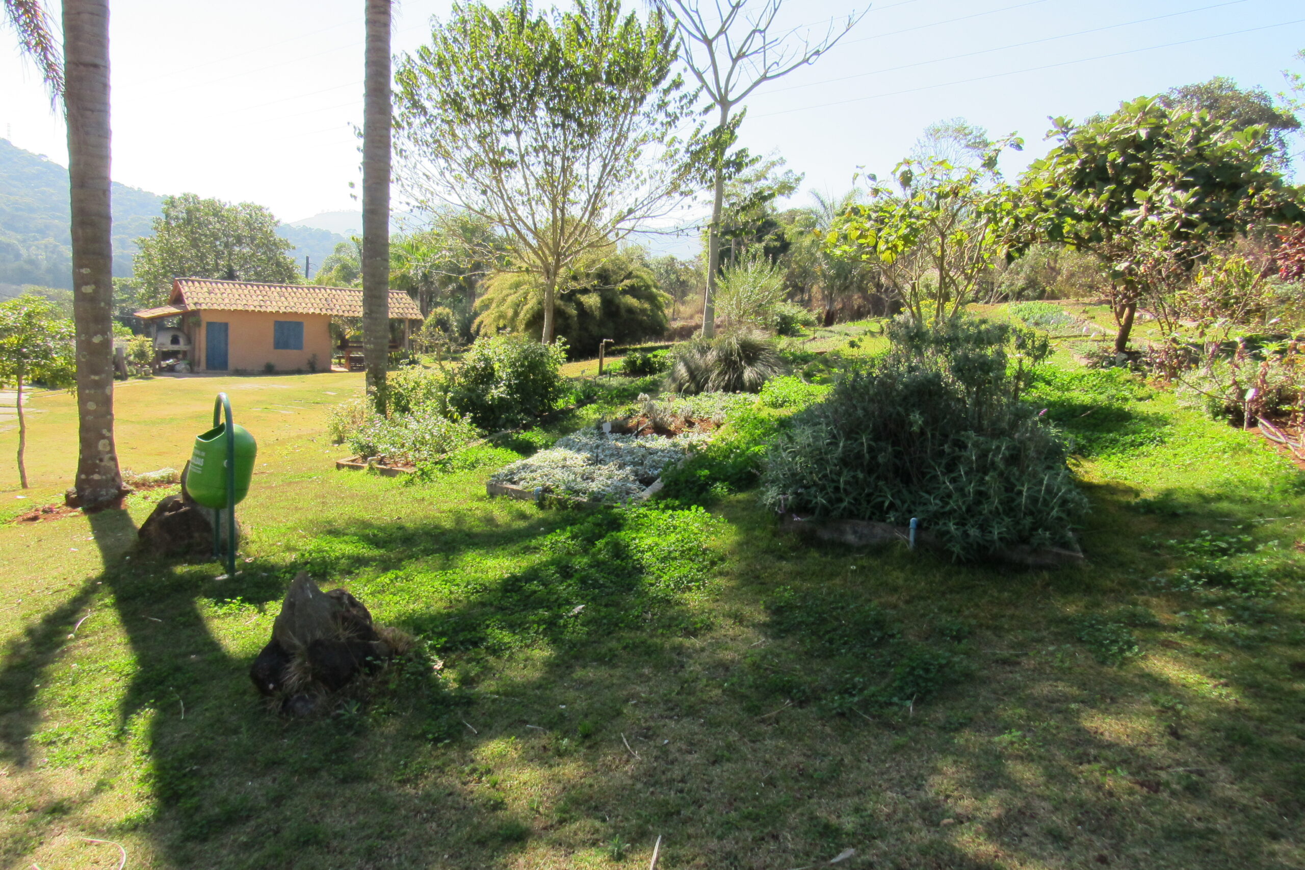 jardim de plantas medicinais do jardim Botânico de Poços e ao fundo a casa de cultura caipira